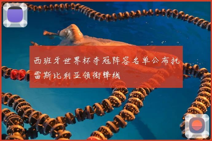 西班牙世界杯夺冠阵容名单公布托雷斯比利亚领衔锋线