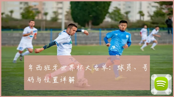 年西班牙世界杯大名单：球员、号码与位置详解