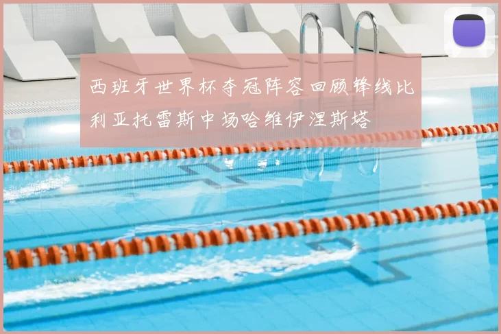 西班牙世界杯夺冠阵容回顾锋线比利亚托雷斯中场哈维伊涅斯塔