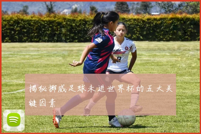 揭秘挪威足球未进世界杯的五大关键因素