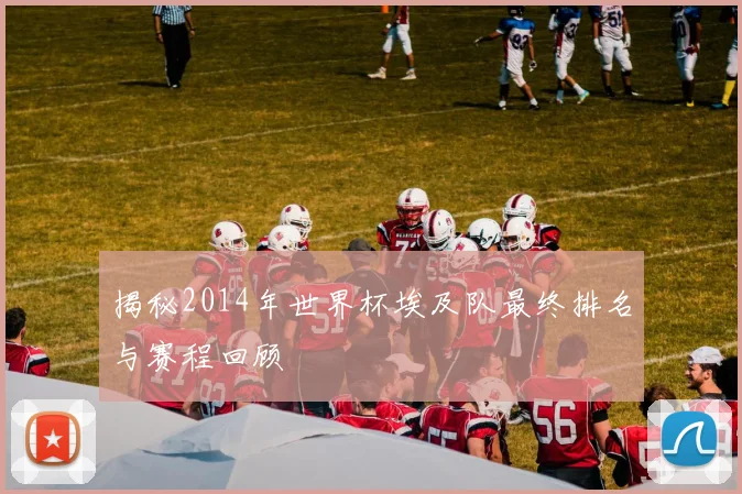 揭秘2014年世界杯埃及队最终排名与赛程回顾