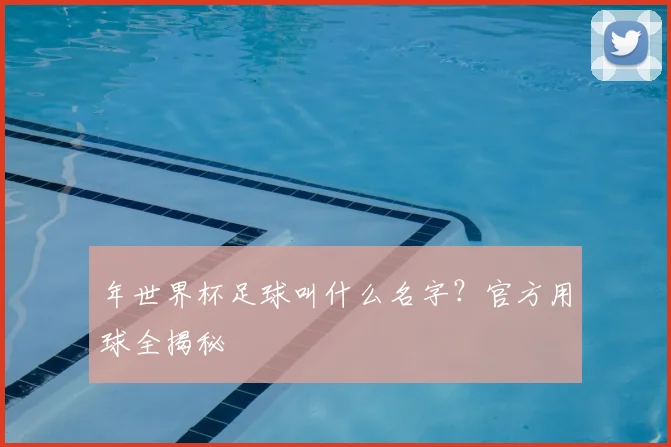 年世界杯足球叫什么名字?官方用球全揭秘