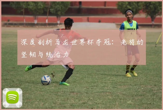 深度剖析马龙世界杯夺冠：老将的坚韧与统治力