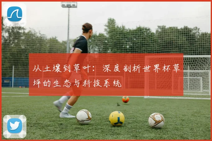 从土壤到草叶:深度剖析世界杯草坪的生态与科技系统