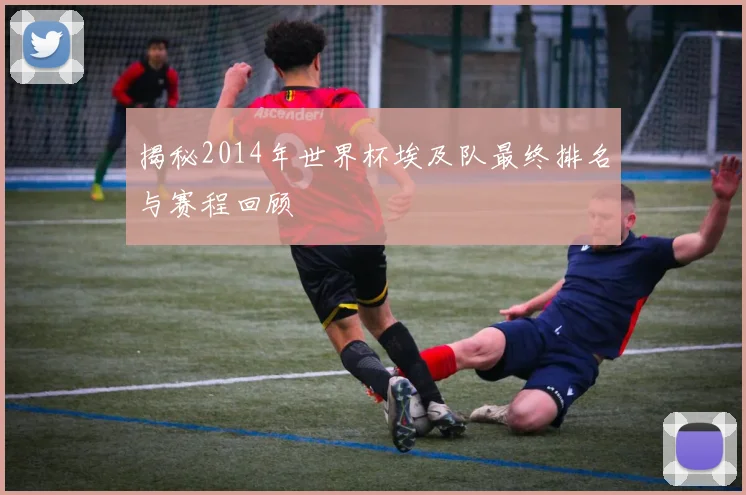 揭秘2014年世界杯埃及队最终排名与赛程回顾
