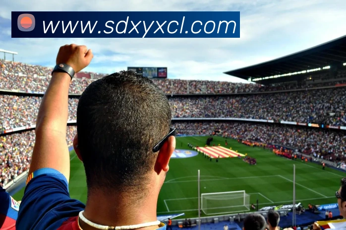 多媒体互动体验